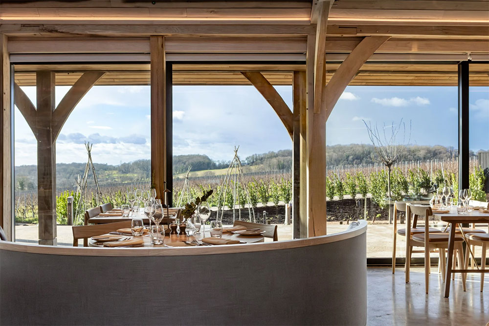 hambledon vineyard tour 