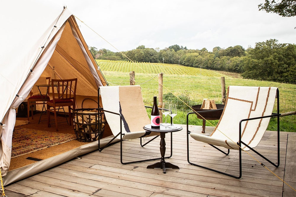 tillingham vineyard wine tour english wine
