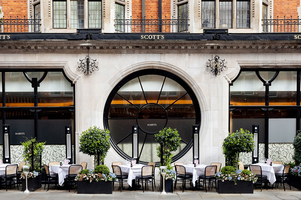 Scott’s