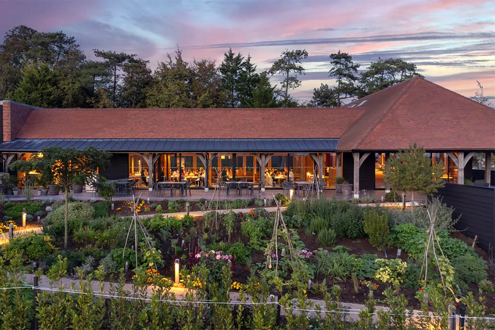 hambledon vineyard tour