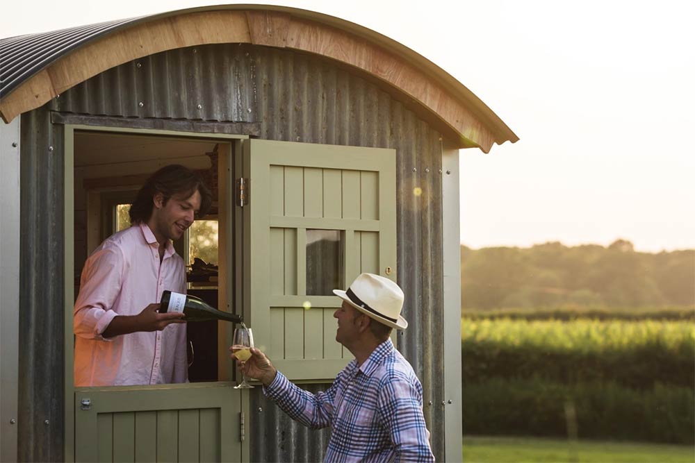 oxney vineyard tour english wine