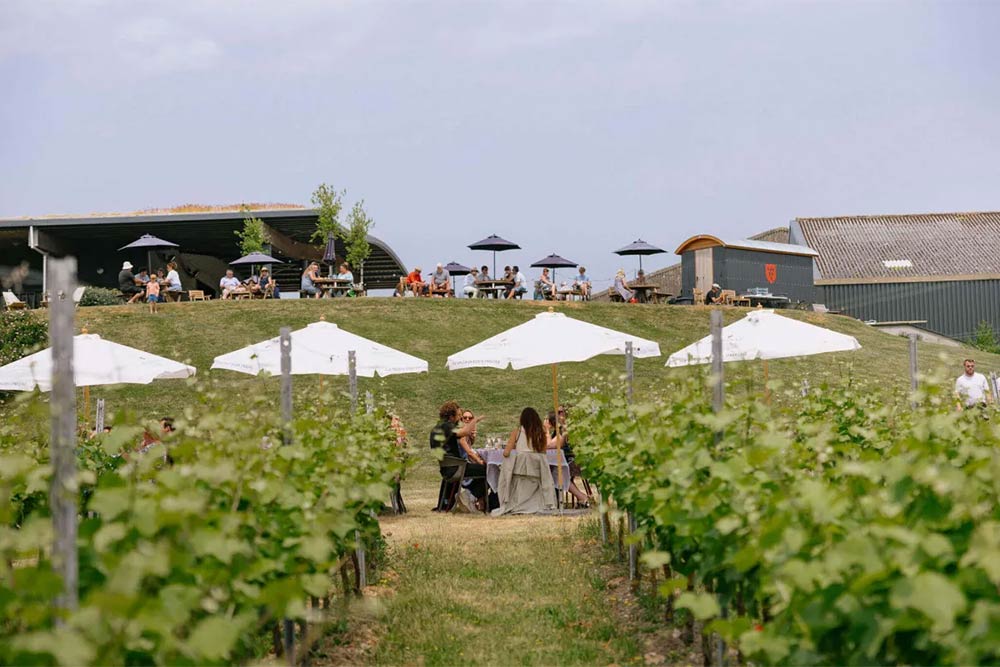 rathfinny estate wine tour english