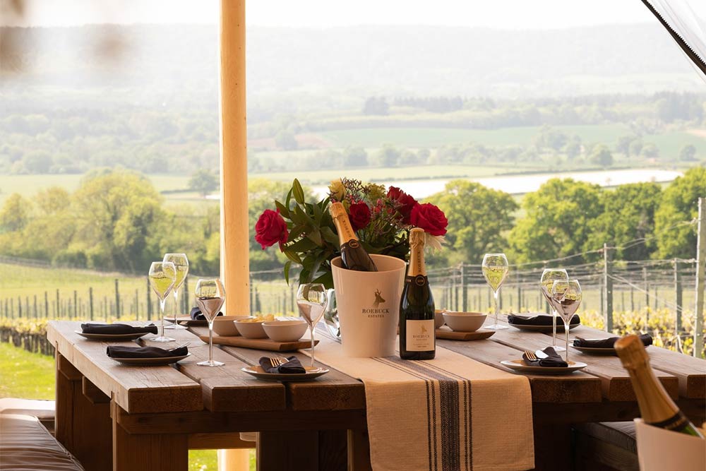 The best vineyards near London that are easy for day trip visits