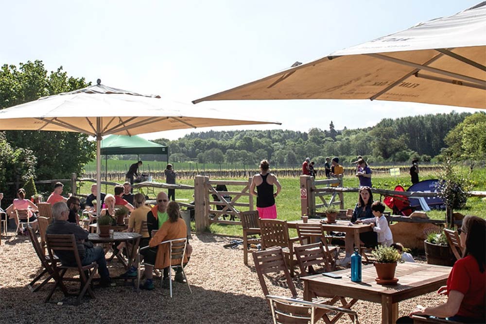 vineyards near london