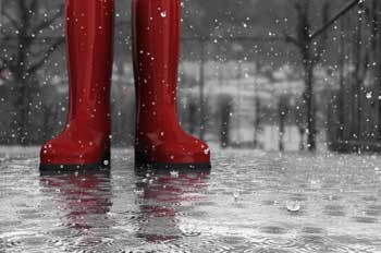rain