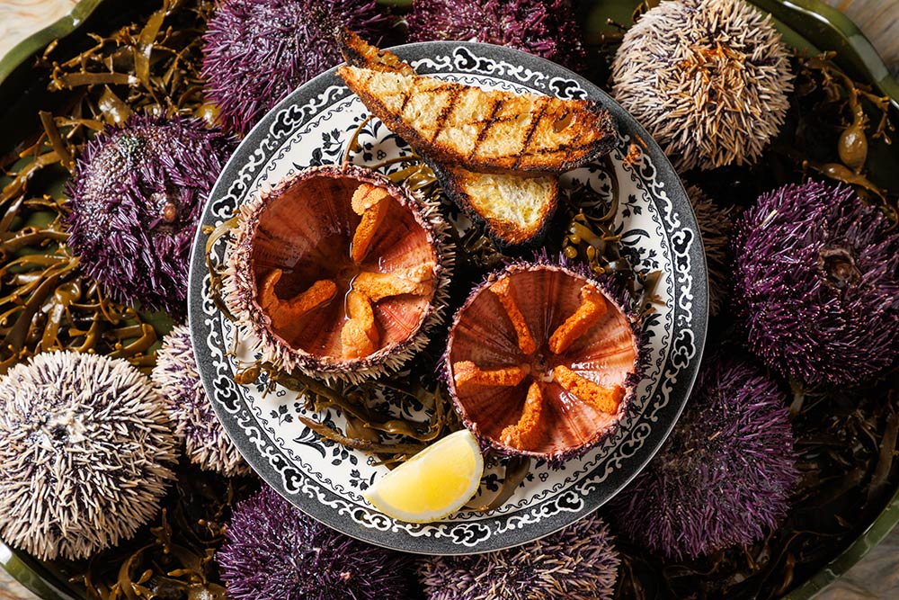 clio restaurant chiltern street offer