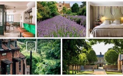 The UK's best countryside hotels for foodies