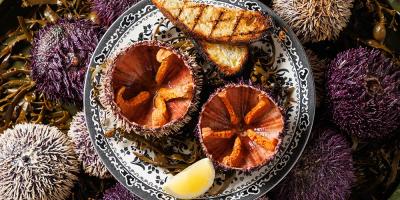 Get 30% off your food bill at newly-opened Clio in Marylebone