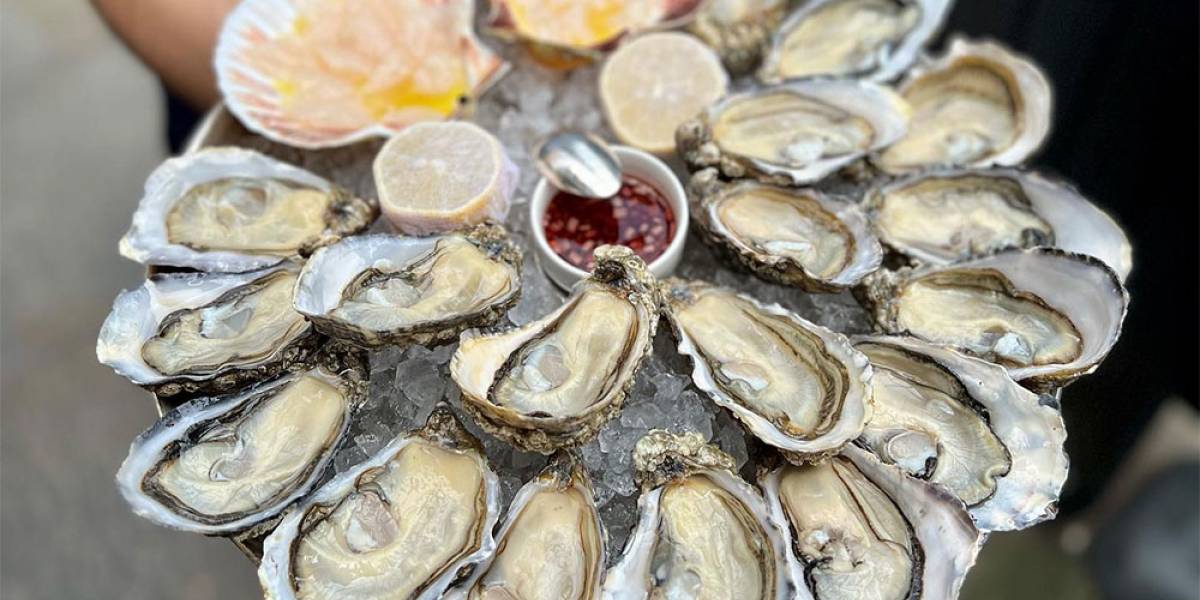 The best London restaurants for oysters