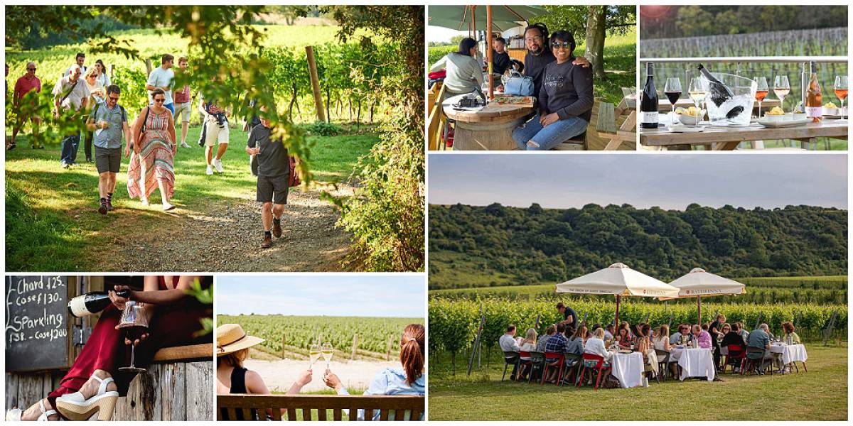 The best vineyards near London that are easy for day trip visits