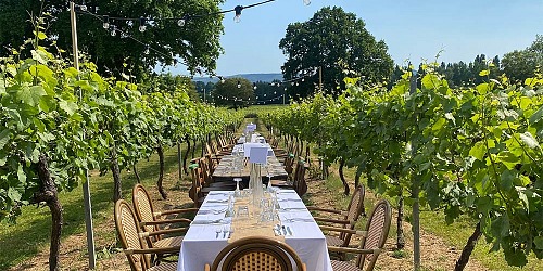 vineyards to visit near london