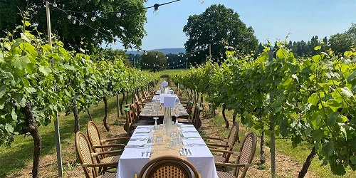 vineyards to visit near london