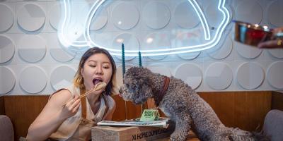 The best dog-friendly restaurants in London