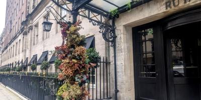 MA/NA sees the Los Mochis team head to Mayfair with a Japanese restaurant