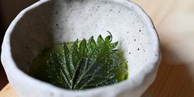 Chef Will Devlin takes to the rooftops to open Nettle at The Conduit