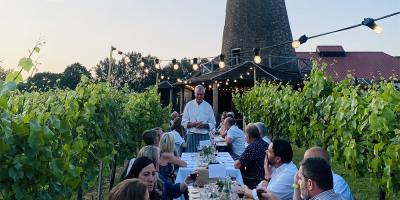 The best vineyards near London that are easy for day trip visits