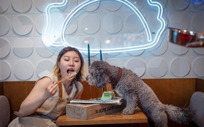 The best dog-friendly restaurants in London