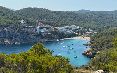 Checking into the Cala San Miguel Ibiza Resort for 48 hours of food, cocktails and sun