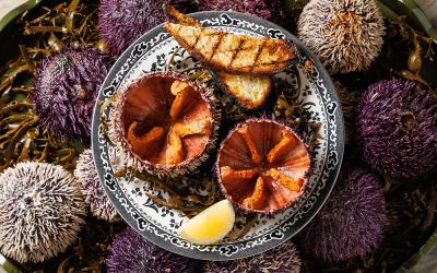 Get 30% off your food bill at newly-opened Clio in Marylebone