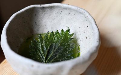 Chef Will Devlin takes to the rooftops to open Nettle at The Conduit