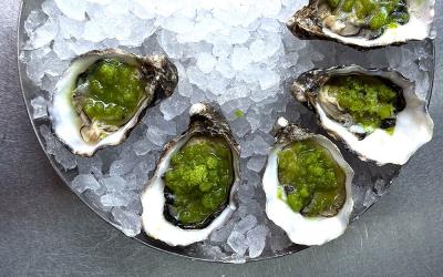 Where to find the best oysters in London