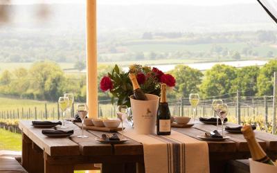 The best vineyards near London that are easy for day trip visits